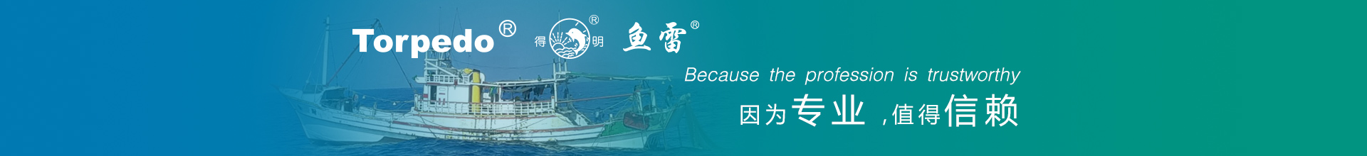 杨成电子-网标灯-鱼雷网标灯-路障灯-启东杨成电子
